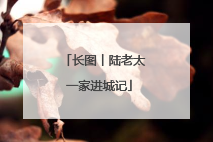 长图丨陆老太一家进城记