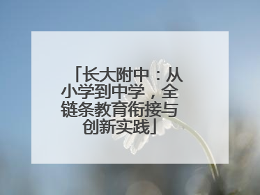 长大附中：从小学到中学，全链条教育衔接与创新实践