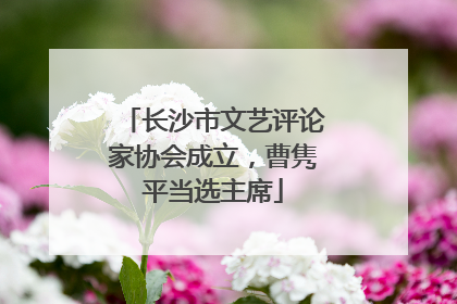 长沙市文艺评论家协会成立，曹隽平当选主席