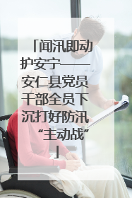 闻汛即动护安宁——安仁县党员干部全员下沉打好防汛“主动战”