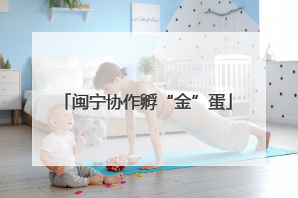 闽宁协作孵“金”蛋