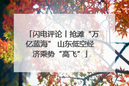 闪电评论丨抢滩“万亿蓝海” 山东低空经济乘势“高飞”
