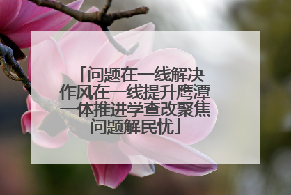 问题在一线解决 作风在一线提升鹰潭一体推进学查改聚焦问题解民忧
