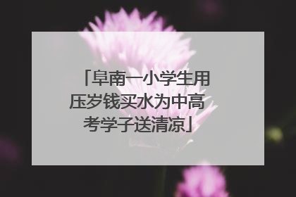 阜南一小学生用压岁钱买水为中高考学子送清凉