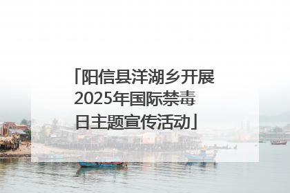 阳信县洋湖乡开展2025年国际禁毒日主题宣传活动