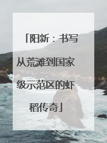 阳新：书写从荒滩到国家级示范区的虾稻传奇