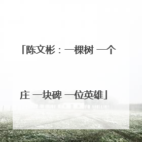 陈文彬：一棵树 一个庄 一块碑 一位英雄