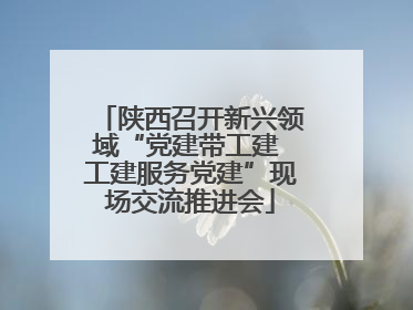 陕西召开新兴领域“党建带工建 工建服务党建”现场交流推进会