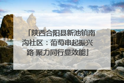 陕西合阳县新池镇南沟社区：葡萄串起振兴路 聚力同行显效能