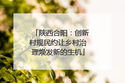 陕西合阳：创新村规民约让乡村治理焕发新的生机