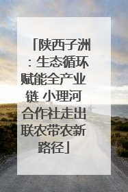 陕西子洲：生态循环赋能全产业链 小理河合作社走出联农带农新路径