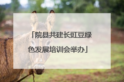 院县共建长豇豆绿色发展培训会举办