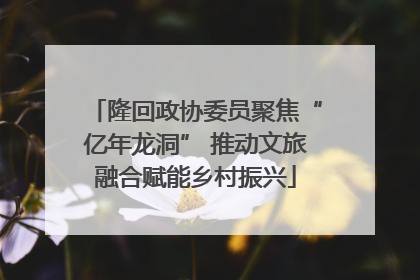 隆回政协委员聚焦“亿年龙洞” 推动文旅融合赋能乡村振兴