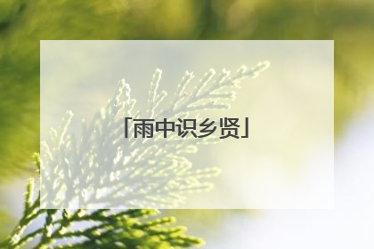 雨中识乡贤
