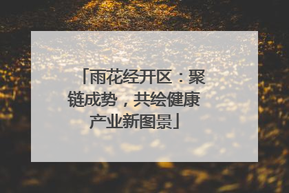雨花经开区：聚链成势，共绘健康产业新图景