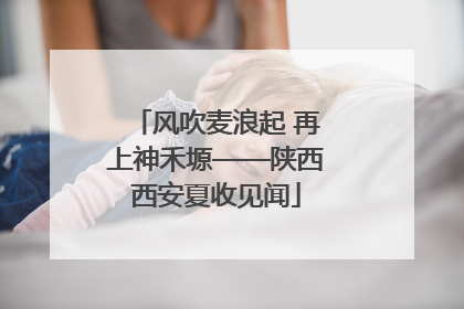 风吹麦浪起 再上神禾塬——陕西西安夏收见闻