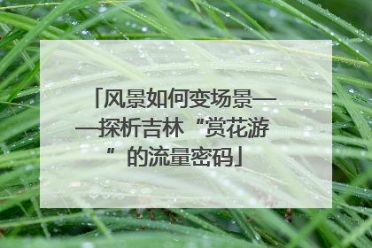 风景如何变场景——探析吉林“赏花游”的流量密码