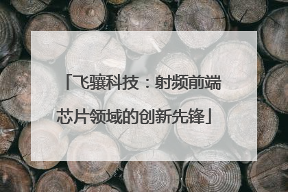 飞骧科技：射频前端芯片领域的创新先锋