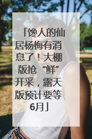 馋人的仙居杨梅有消息了！大棚版抢“鲜”开采，露天版预计要等6月