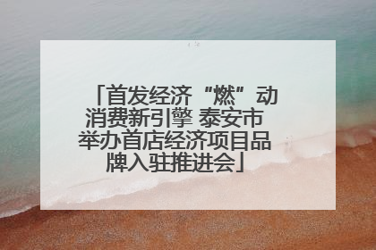 首发经济“燃”动消费新引擎 泰安市举办首店经济项目品牌入驻推进会