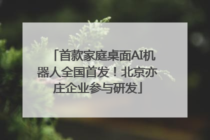 首款家庭桌面AI机器人全国首发！北京亦庄企业参与研发