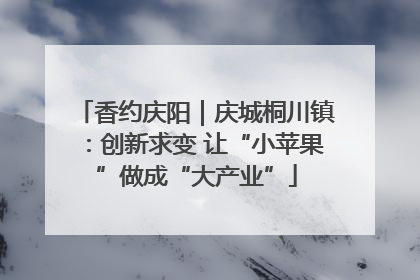 香约庆阳｜庆城桐川镇：创新求变 让“小苹果”做成“大产业”