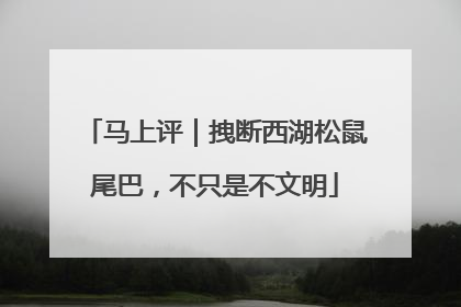 马上评｜拽断西湖松鼠尾巴，不只是不文明