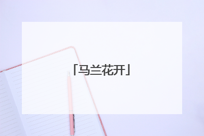 马兰花开