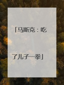马斯克：吃了儿子一拳