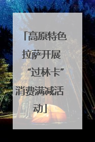 高原特色 拉萨开展“过林卡”消费满减活动