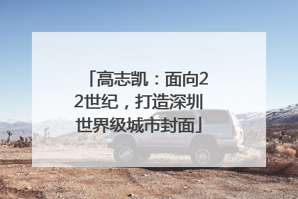 高志凯：面向22世纪，打造深圳世界级城市封面