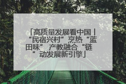 高质量发展看中国丨“民宿兴村”烹热“蓝田味” 产教融合“链”动发展新引擎