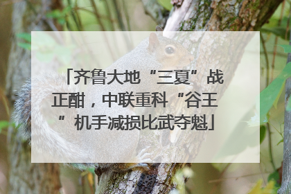 齐鲁大地“三夏”战正酣，中联重科“谷王”机手减损比武夺魁