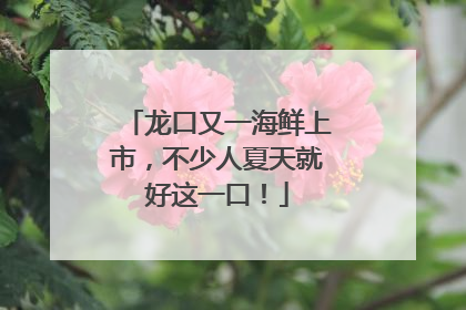 龙口又一海鲜上市，不少人夏天就好这一口！