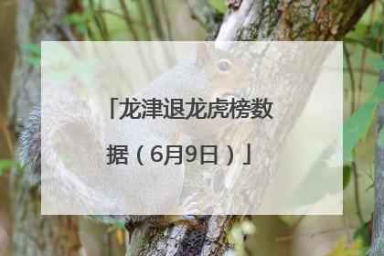 龙津退龙虎榜数据（6月9日）