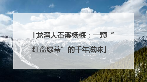 龙湾大岙溪杨梅：一颗“红盘绿蒂”的千年滋味