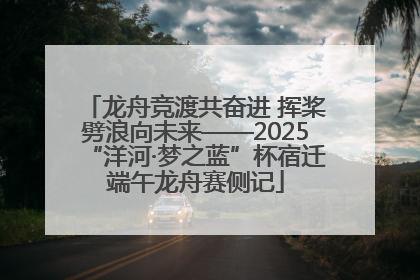 龙舟竞渡共奋进 挥桨劈浪向未来——2025“洋河·梦之蓝”杯宿迁端午龙舟赛侧记