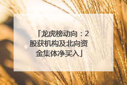 龙虎榜动向：2股获机构及北向资金集体净买入