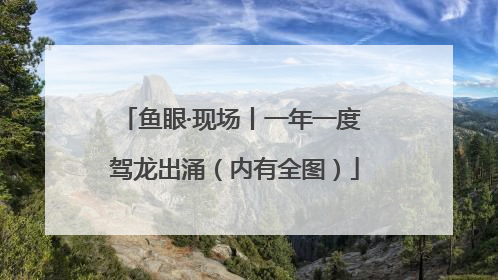 鱼眼·现场丨一年一度 驾龙出涌（内有全图）