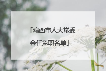 鸡西市人大常委会任免职名单