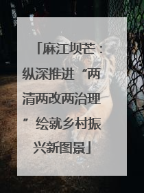 麻江坝芒：纵深推进“两清两改两治理”绘就乡村振兴新图景