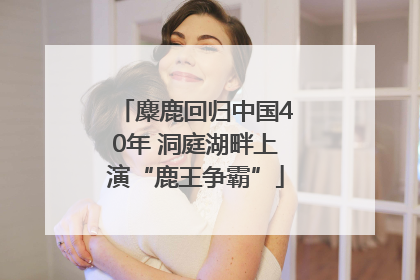 麋鹿回归中国40年 洞庭湖畔上演“鹿王争霸”