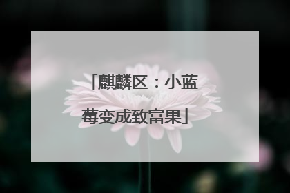 麒麟区：小蓝莓变成致富果