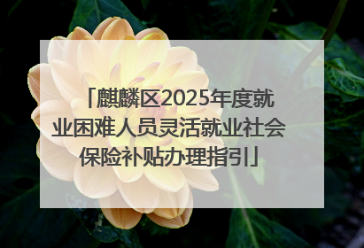 麒麟区2025年度就业困难人员灵活就业社会保险补贴办理指引