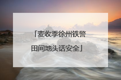 麦收季徐州铁警田间地头话安全