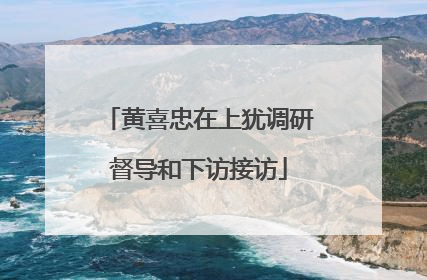 黄喜忠在上犹调研督导和下访接访