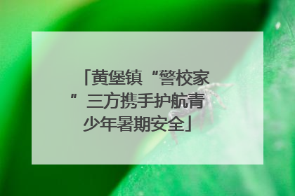 黄堡镇“警校家”三方携手护航青少年暑期安全