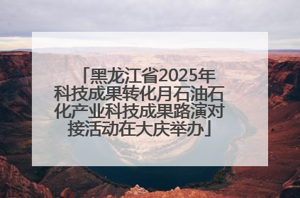 黑龙江省2025年科技成果转化月石油石化产业科技成果路演对接活动在大庆举办