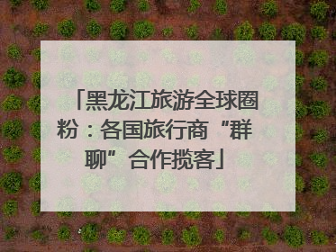 黑龙江旅游全球圈粉：各国旅行商“群聊”合作揽客