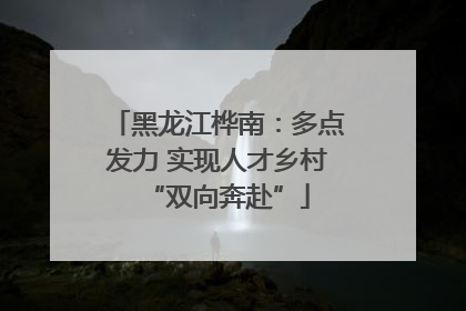 黑龙江桦南：多点发力 实现人才乡村“双向奔赴”